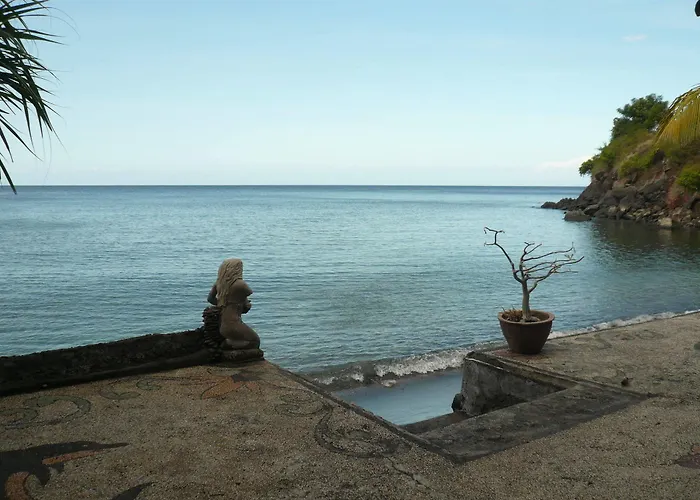 Guest house Vienna Amed (Bali)