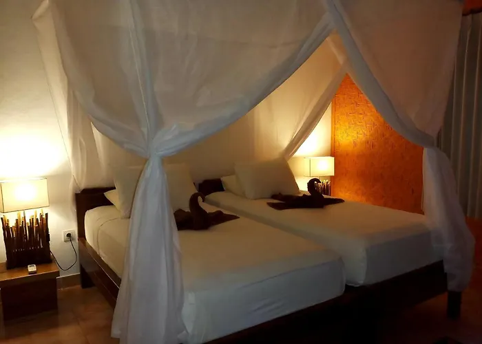 Vienna Guest house Amed (Bali)
